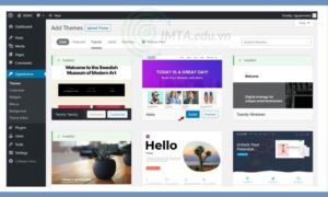 Theme là gì thực chất nó là giao diện của website