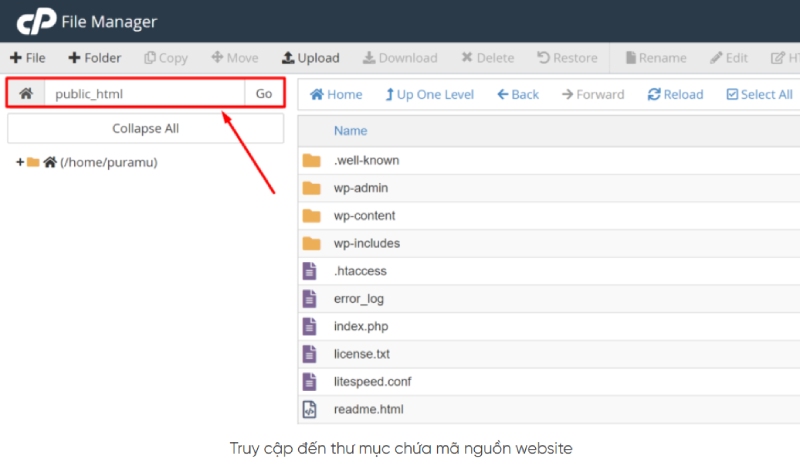 Truy cập vào thư mục chứa mã nguồn trang web