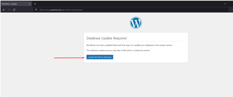 Thông báo Update WordPress database thành công