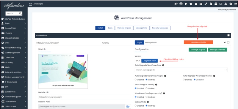 Cách cập nhật WordPress bằng bằng Softaculous