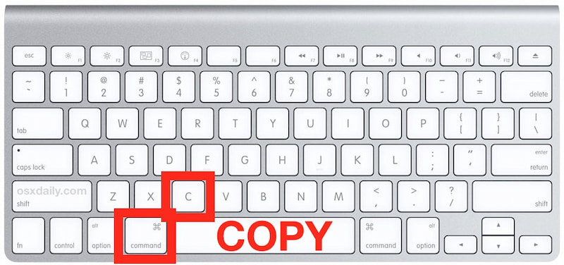 Nhấn tổ hợp phím Command+C để Copy