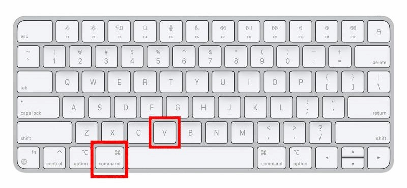 Chọn Command +V để dán dữ liệu sao chép