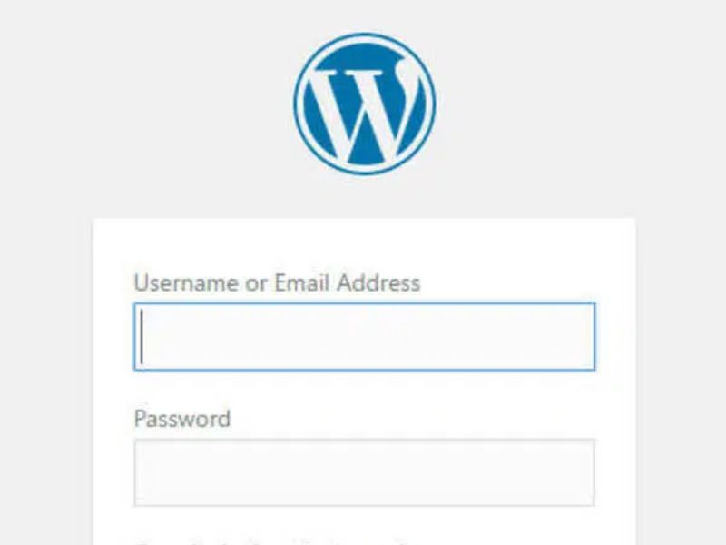 Check theme của WordPress với What WordPress Theme
