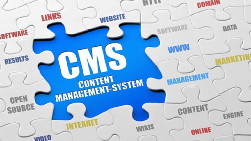 Ứng dụng dữ liệu trong CMS