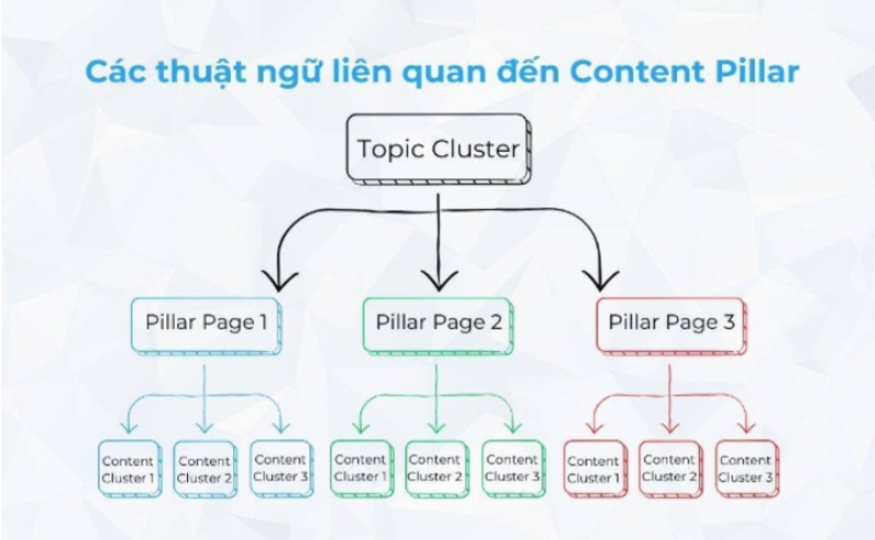 Thuật ngữ trong Content Pillar là gì
