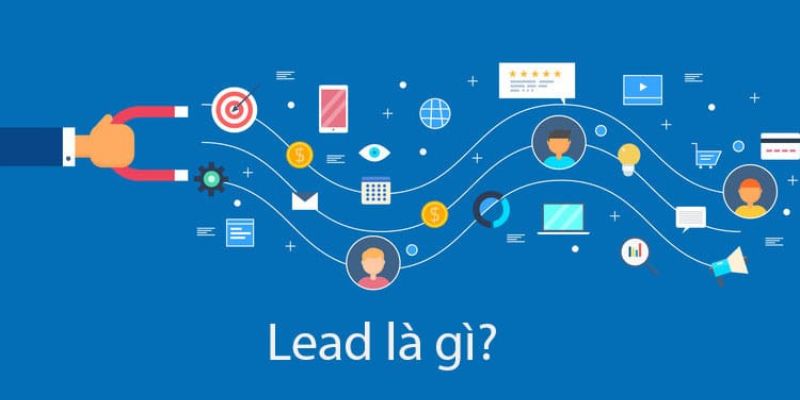 Khái quát một vài thông tin về Lead là gì