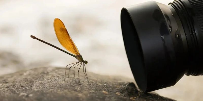 Khái quát một số thông tin giải đáp Macro là gì