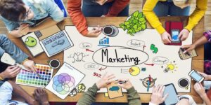 Một số danh mục môn học liên quan đến marketing