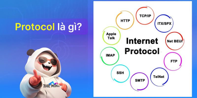 Khái quát nội dung thông tin về Protocol là gì