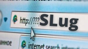 Slug là gì? Là phần nằm ở phía sau tên miền của URL