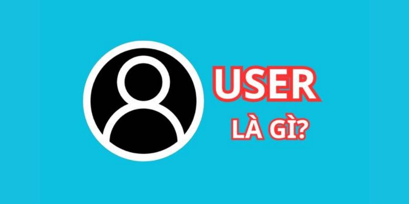 User chỉ người dùng
