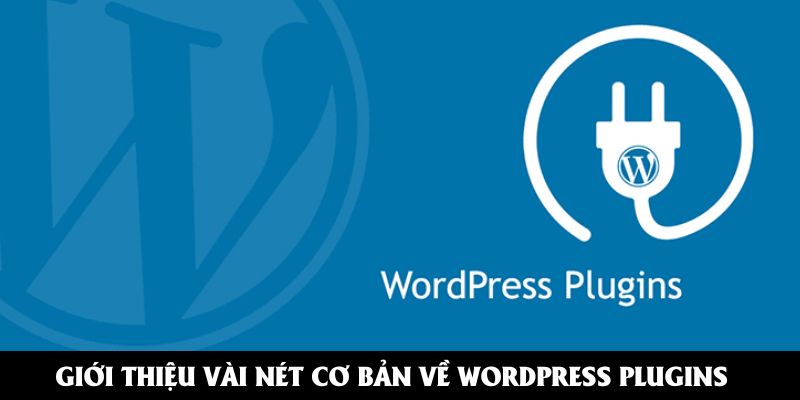 Giới thiệu vài nét cơ bản về WordPress plugins