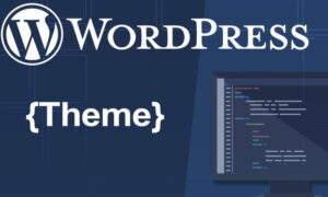 Theme Nulled được nhiều người chọn khi thiết kế website