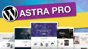 Astra theme