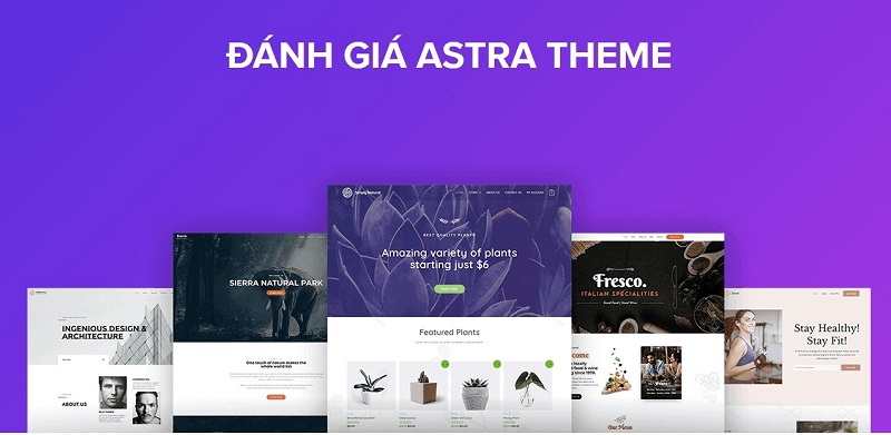 Theme astra cung cấp nhiều demo để lựa chọn