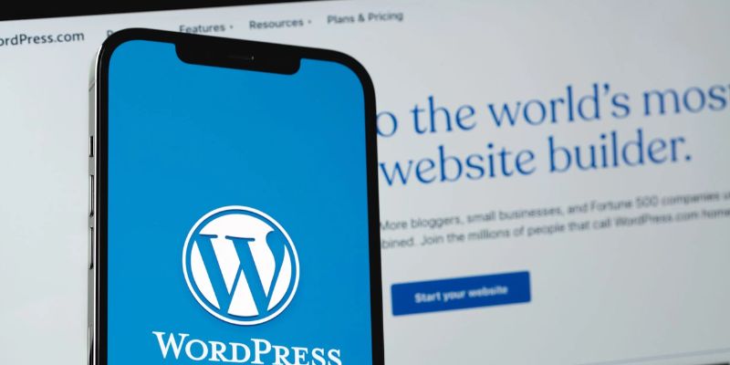 Bạn nên tìm hiểu về những theme WordPress có bản quyền