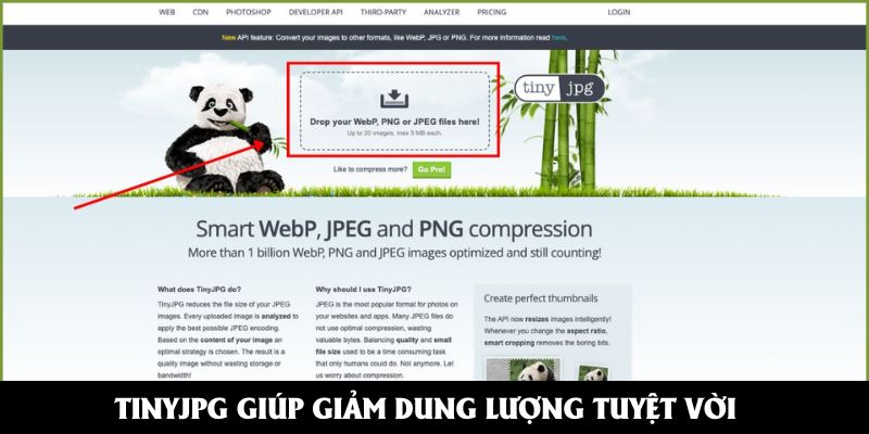 TinyJPG giúp giảm dung lượng tuyệt vời