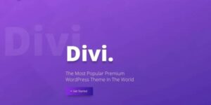 divi theme