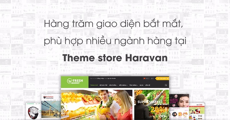 Tổng quan về haravan theme