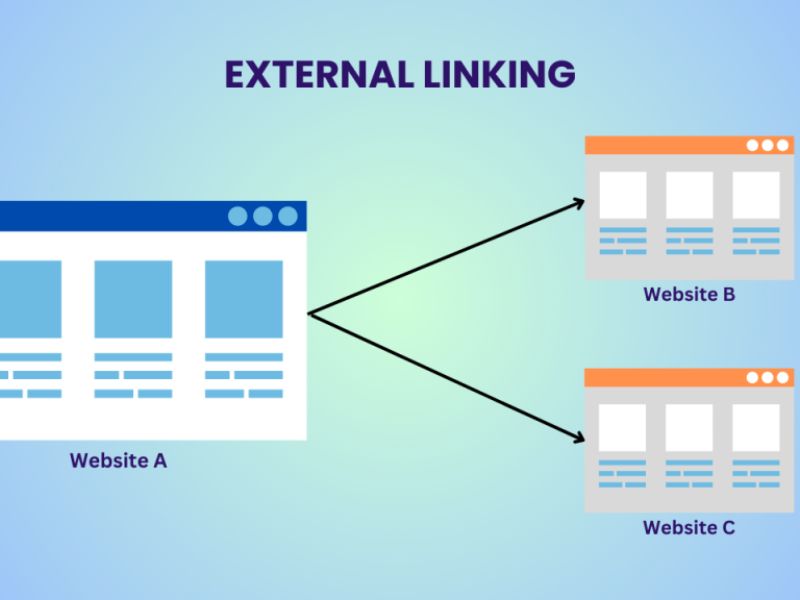 External link cho phép website liên kết với các nguồn thông tin uy tín