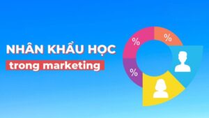 Nhân khẩu học là cơ sở để doanh nghiệp xác định hành vi của khách hàng