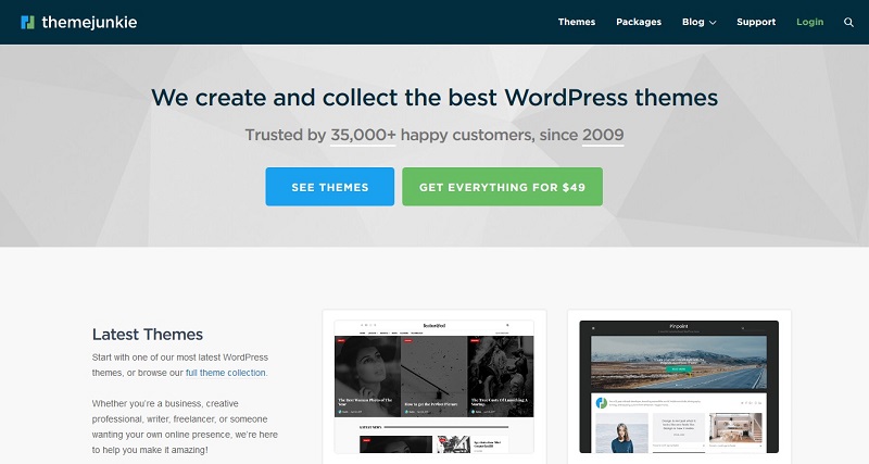 Theme junkie cung cấp nhiều giao diện nổi bật