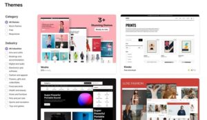 theme woocommerce​