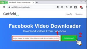 Người dùng có thể sử dụng trang web hỗ trợ để tải video từ link Facebook