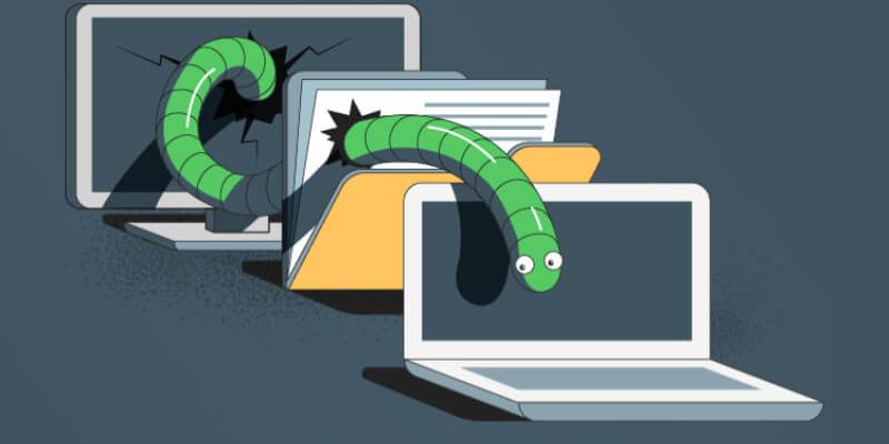 Đặc điểm chính có ở worm