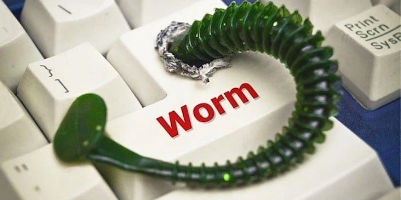 Khái quát nội dung tóm tắt về worm là gì